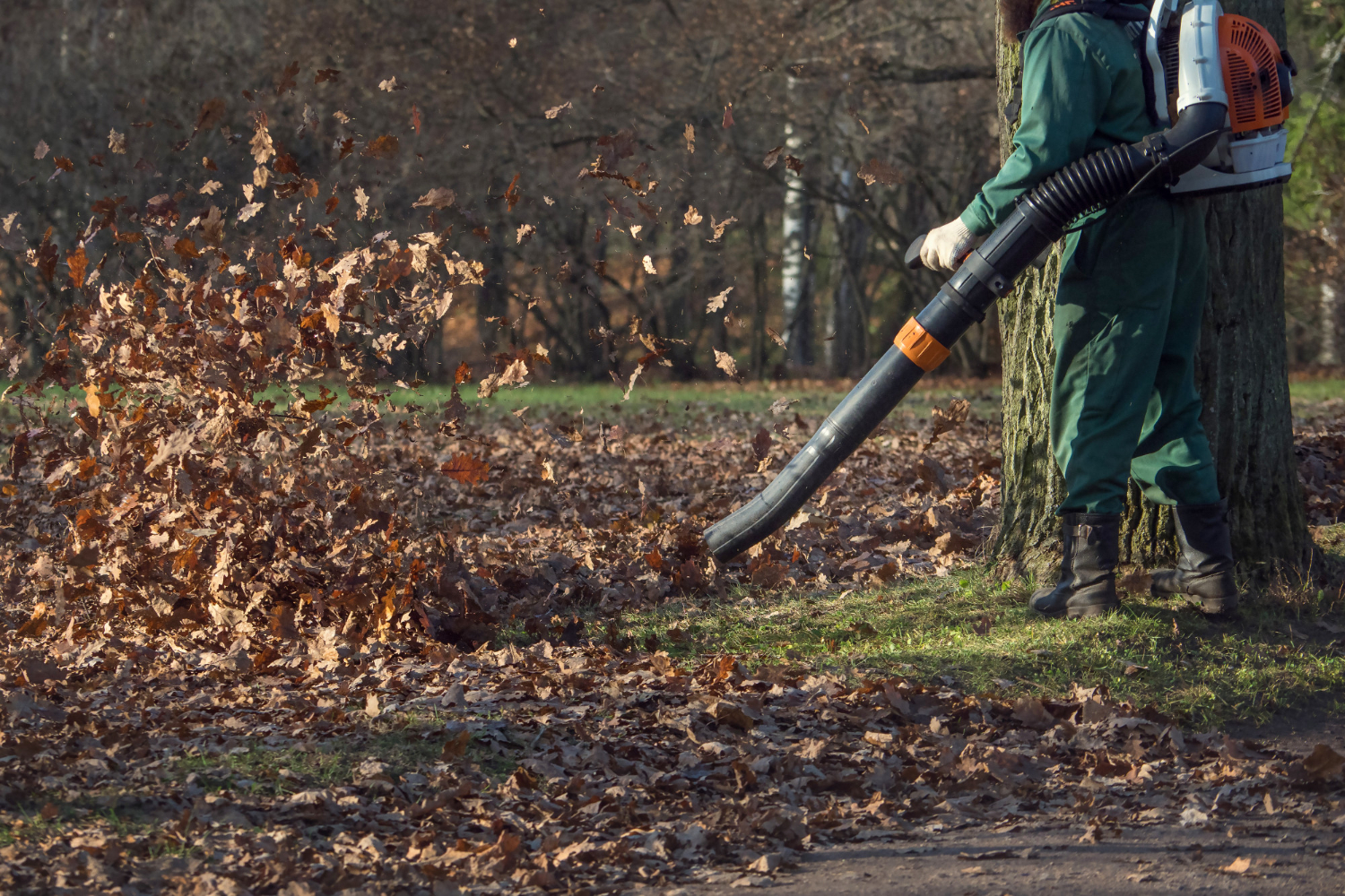 leaf removal